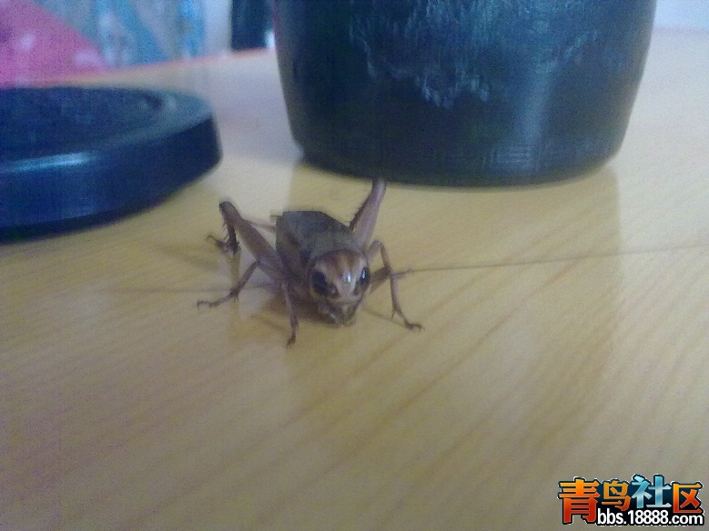20121226371.jpg