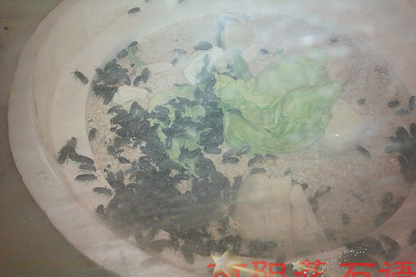 IMAG0266.jpg