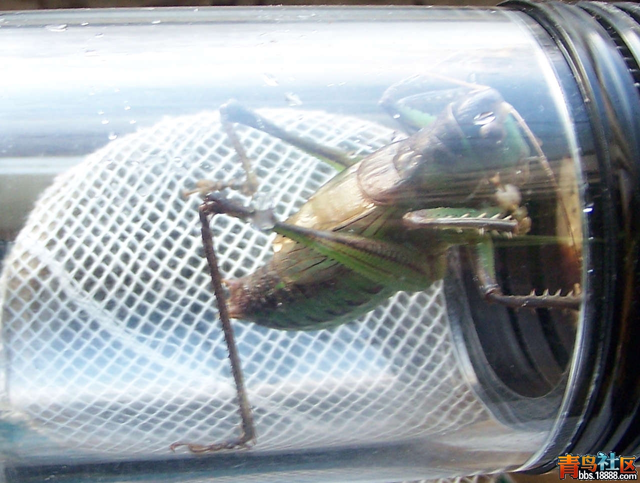 100_4114.JPG