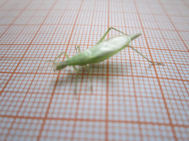 照片 166.jpg