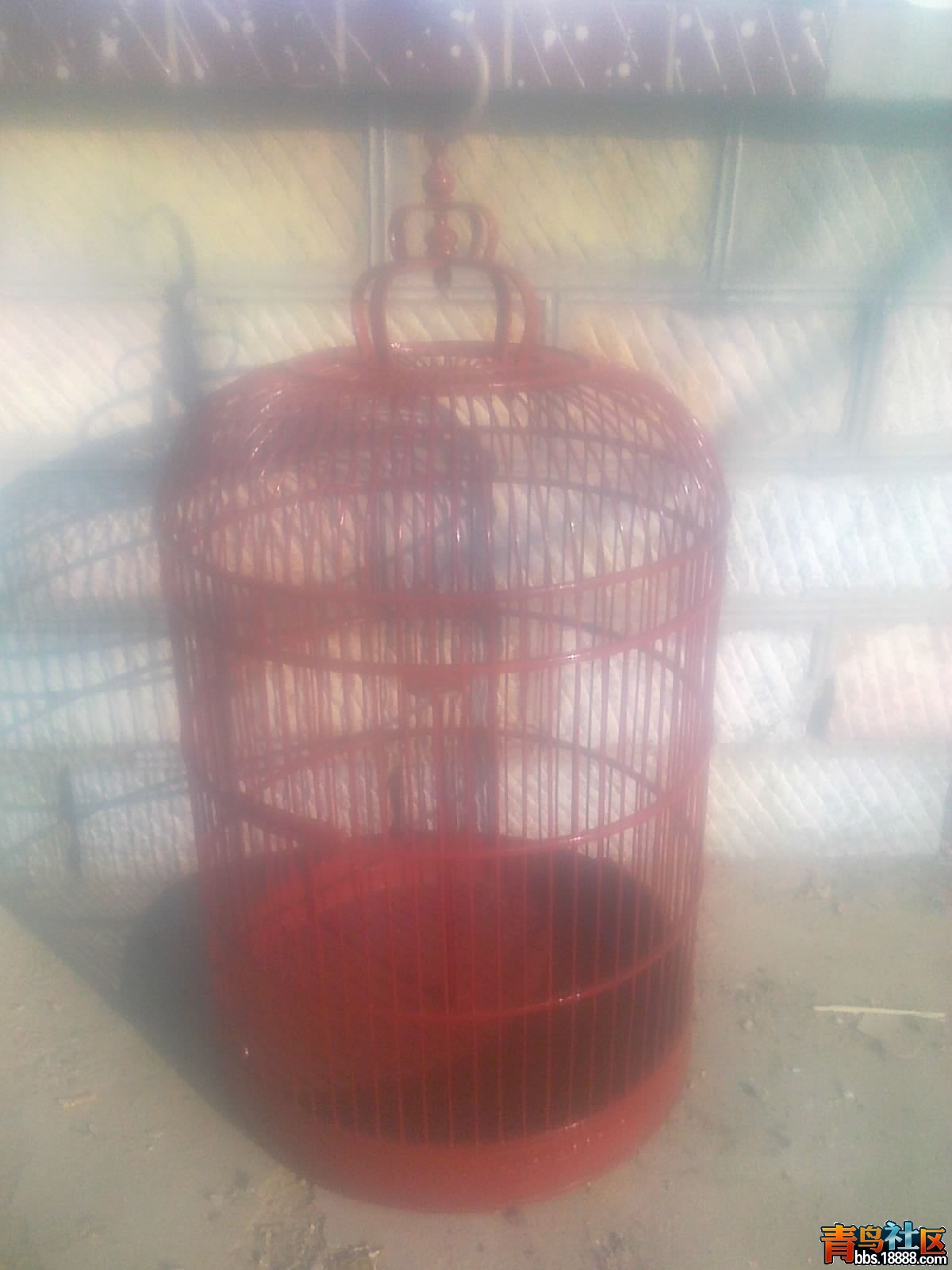 20121203539.jpg