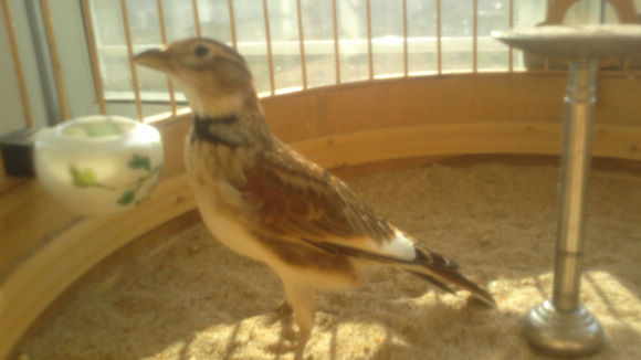20121205768.jpg
