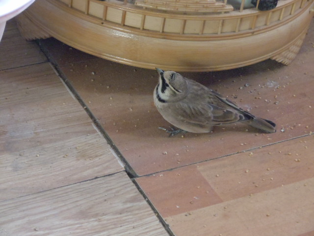 DSCN2979.JPG