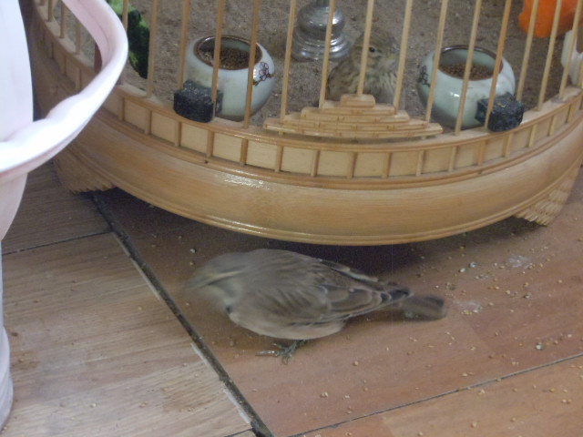 DSCN2986.JPG