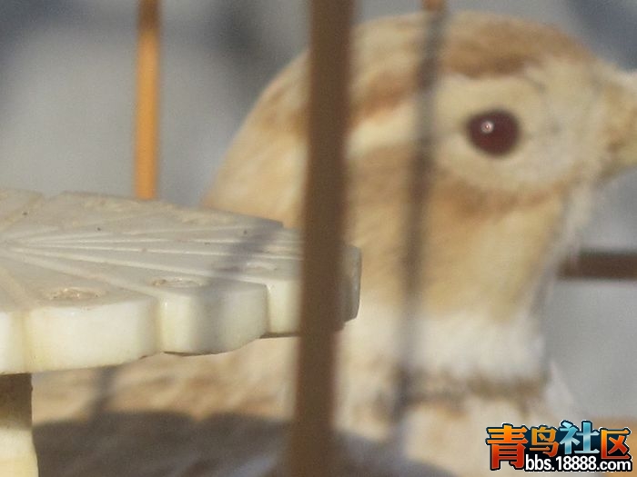 照片 048.jpg