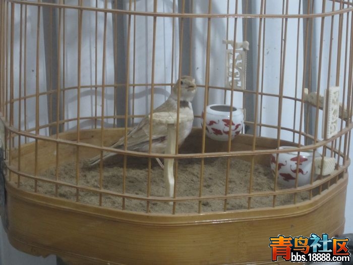 照片 024.jpg