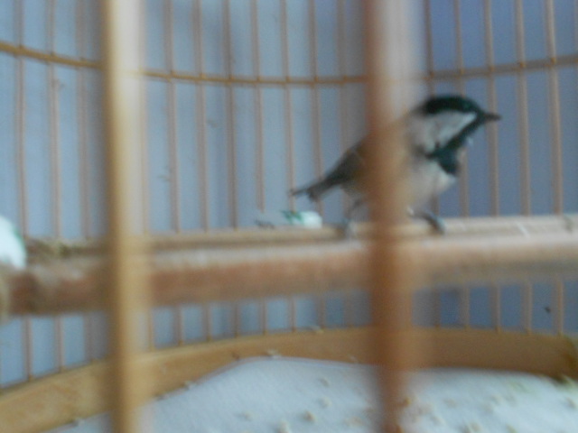 DSCN1564.JPG