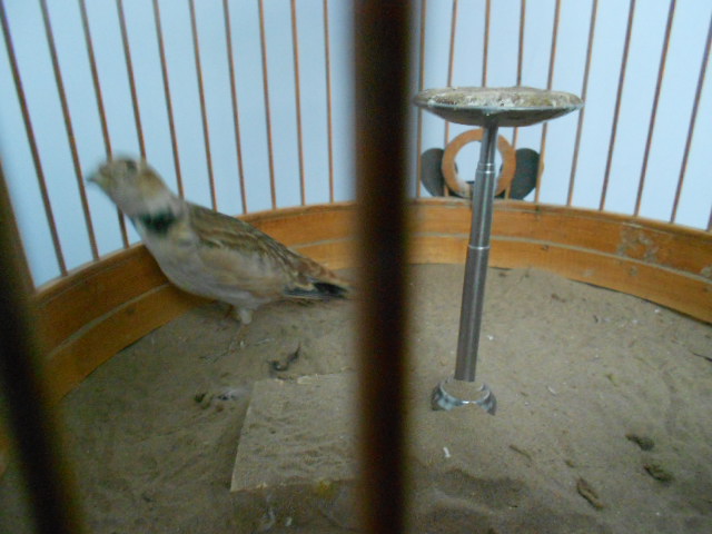 DSCN1561.JPG