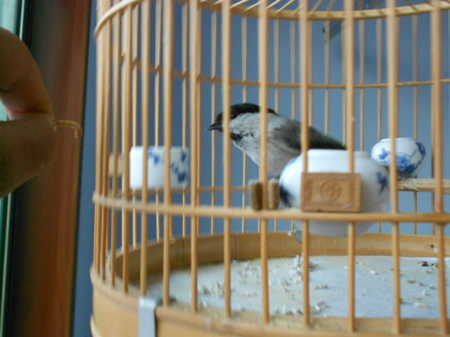DSCN1555.JPG