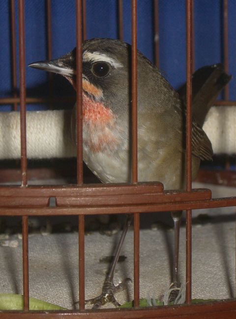 CIMG9277.JPG