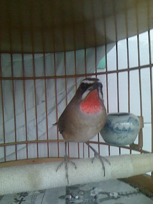 IMG1221162902_副本.jpg