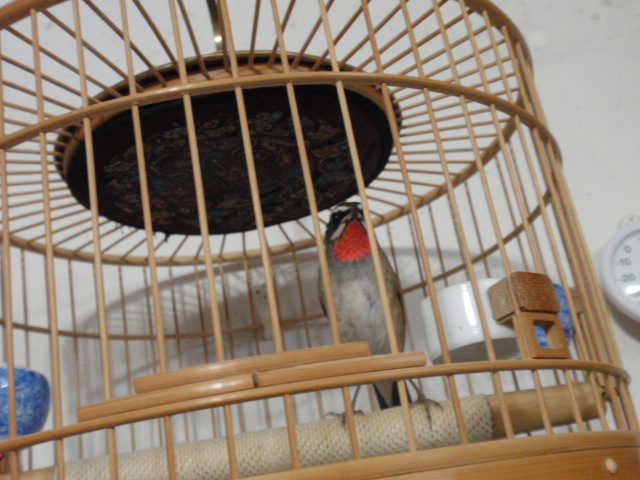 PC191188.JPG