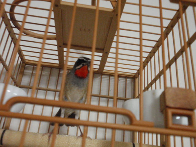 PC191209.JPG
