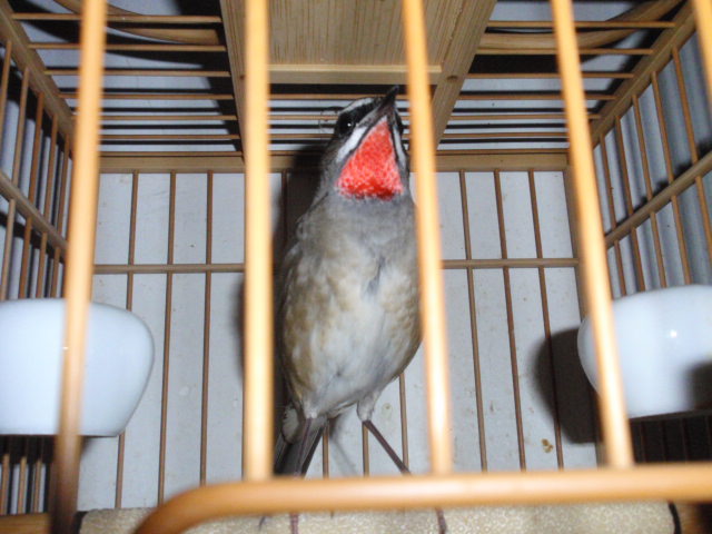 PA291167.JPG