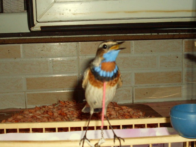 SDC11258.JPG