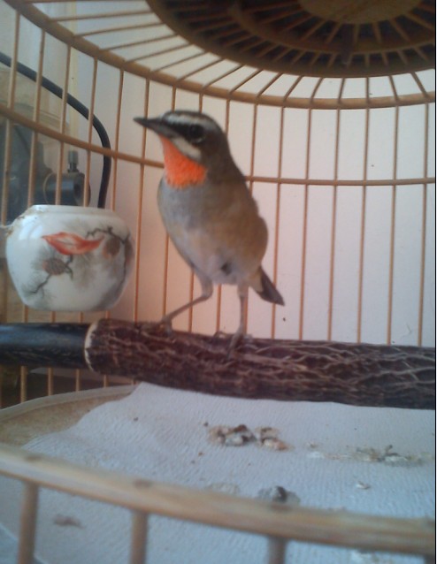 GCIR9G$(~F)@407W@`2(S82.jpg
