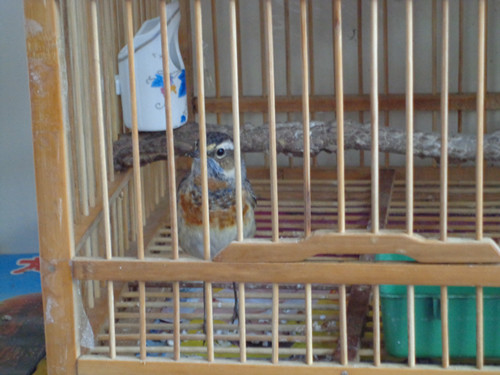 DSC00174_副本.jpg