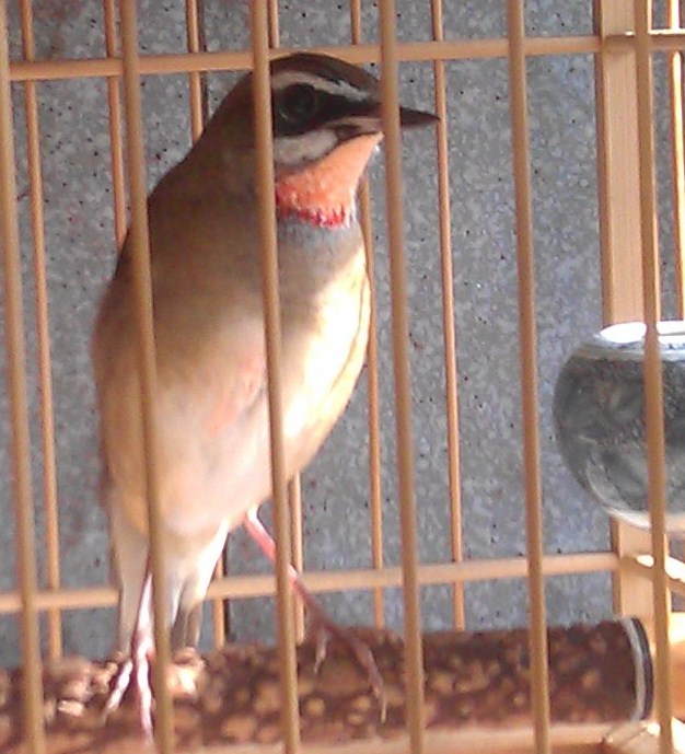 IMAG0070.jpg
