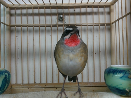 WP_000065.jpg