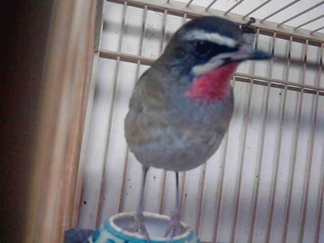 P020109_00.14.jpg