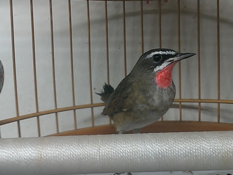 WP_000550.jpg