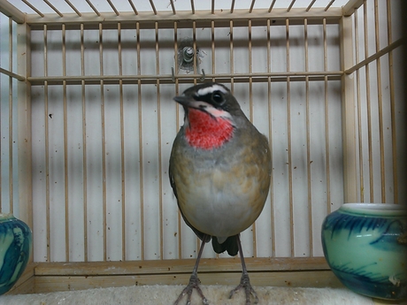 WP_000064.jpg
