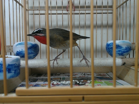 WP_000473.jpg