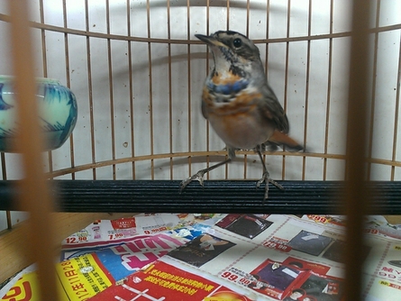 WP_000052.jpg