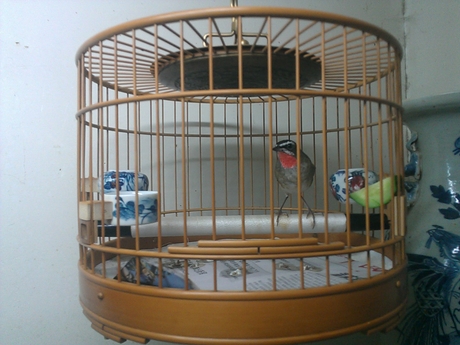WP_000561.jpg