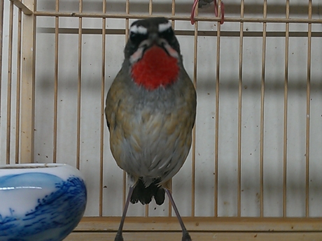 WP_000462.jpg