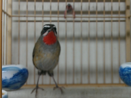 WP_000480.jpg