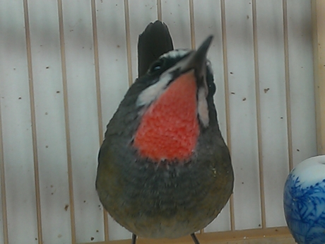 WP_000306.jpg
