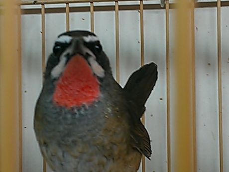 WP_000273.jpg