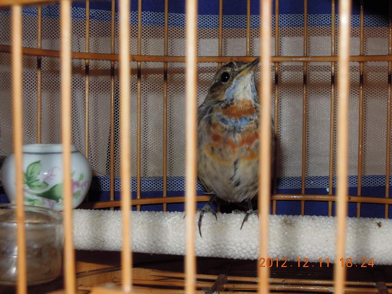 照片1111 377.jpg