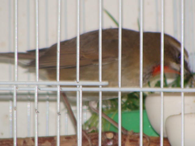 DSC03083.JPG