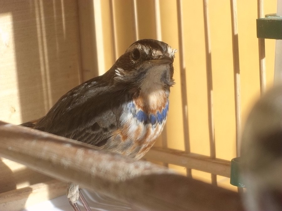 DSC01687_副本.jpg