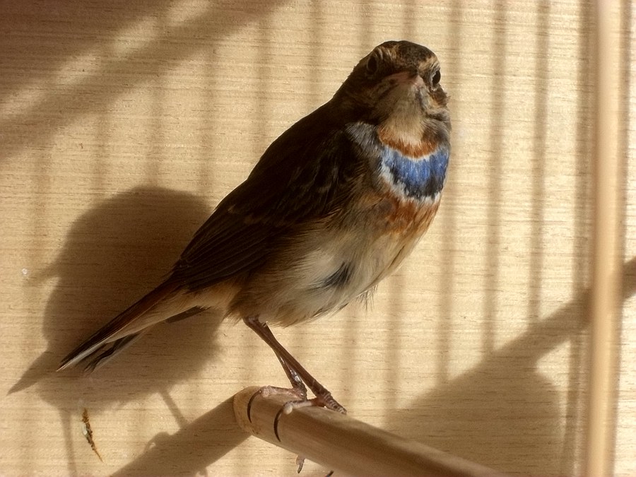 DSC01706_副本.jpg