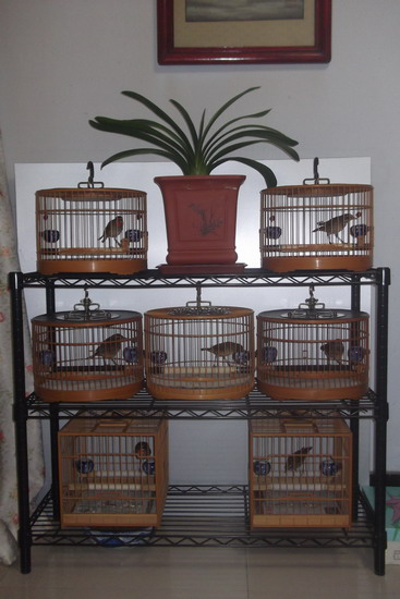 DSCF2583.JPG
