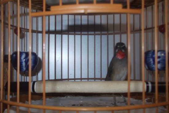 DSCF2564.JPG