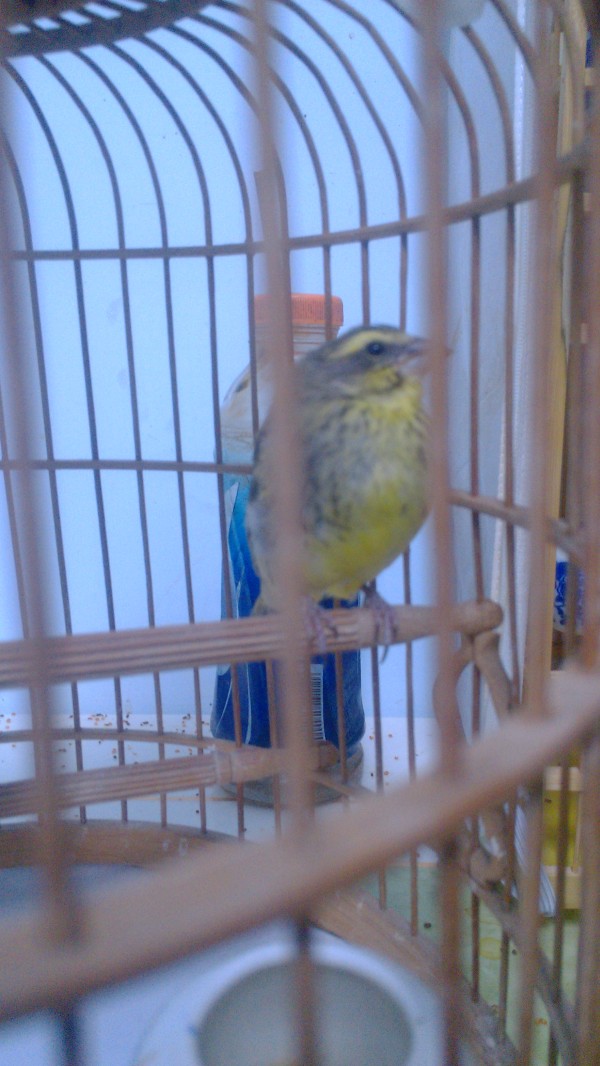 conew_img_20121208_193935.jpg