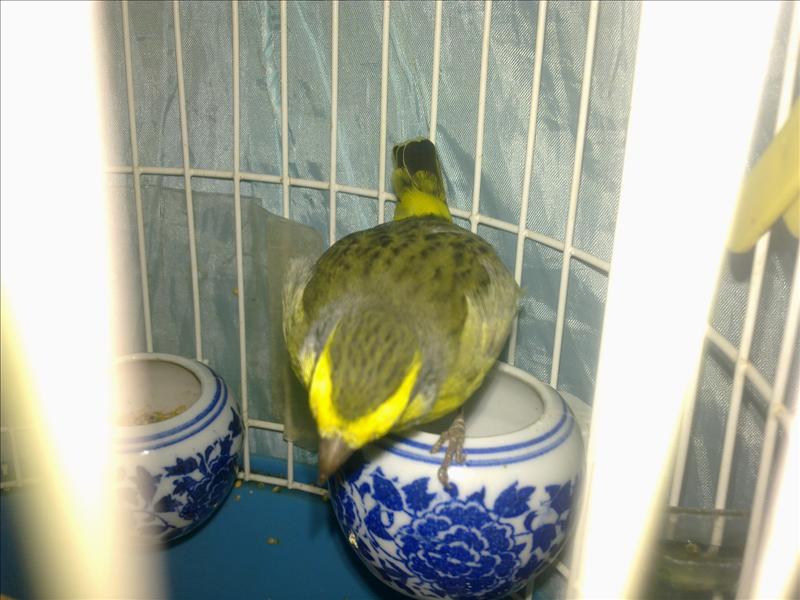 201212042395_07734778.jpg
