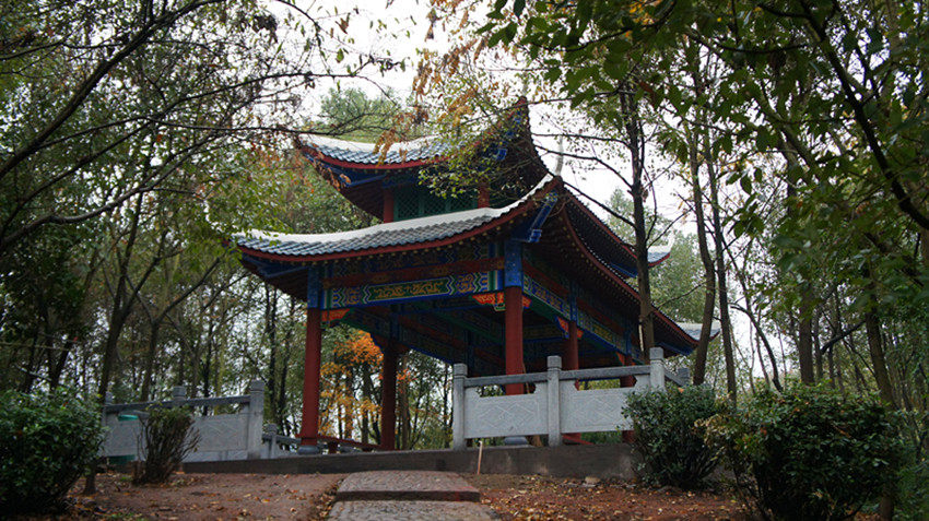 DSC01134_副本.jpg