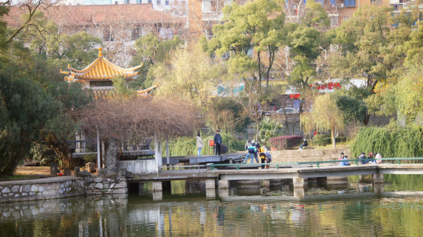 DSC01500_副本.jpg
