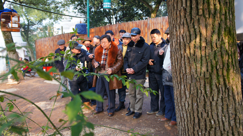 DSC01355_副本.jpg