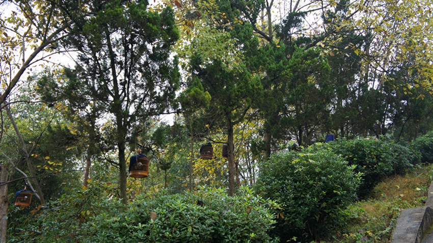 DSC01137_副本.jpg