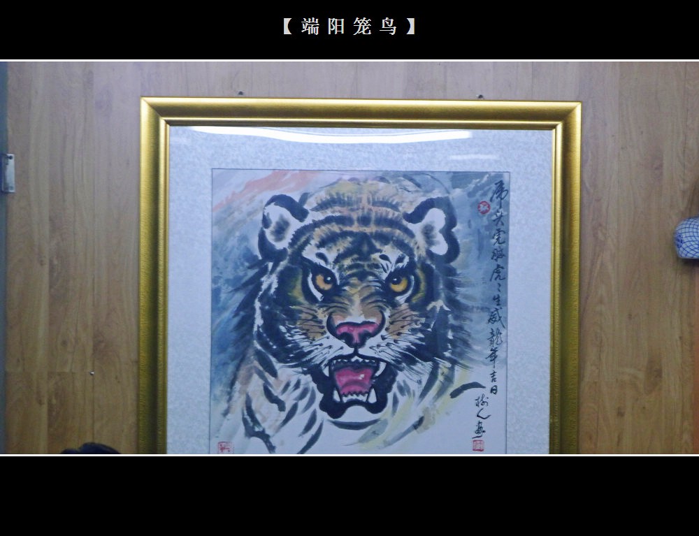 P1070068_conew1.jpg
