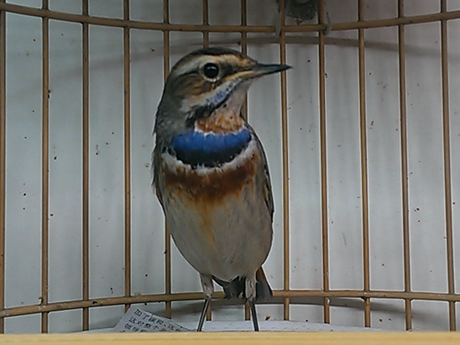 WP_000162.jpg