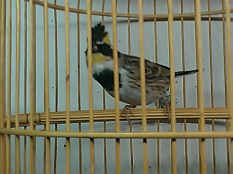 WP_000229.jpg