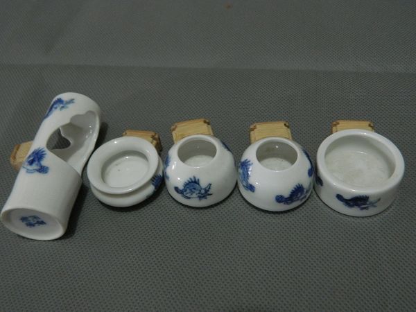 乌贼鱼野鸟缸1.jpg