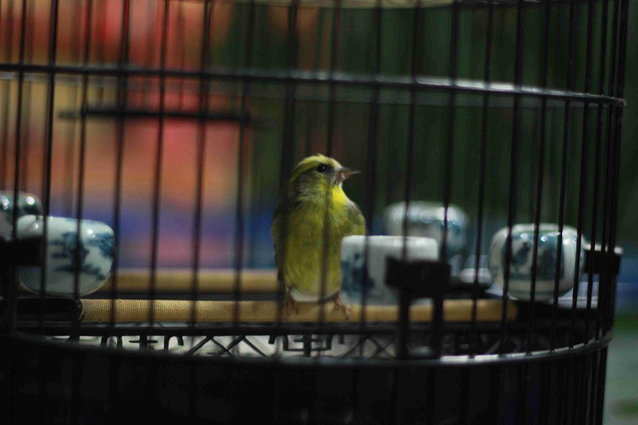 IMG_0871.JPG